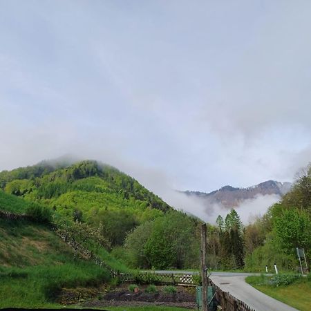 Wohnung Im Nationalpark Kalkalpen 3 Reichraming Екстериор снимка