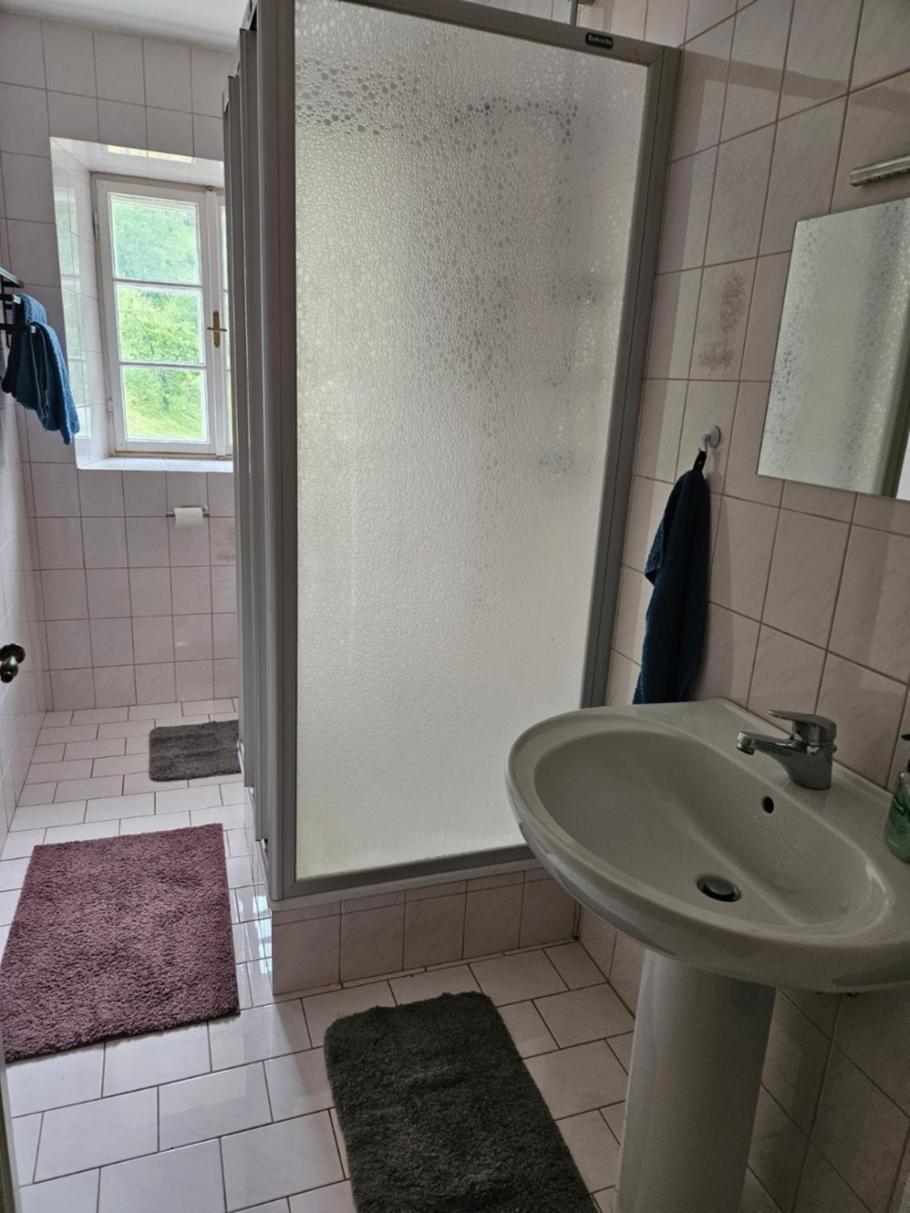 Wohnung Im Nationalpark Kalkalpen 3 Reichraming Екстериор снимка