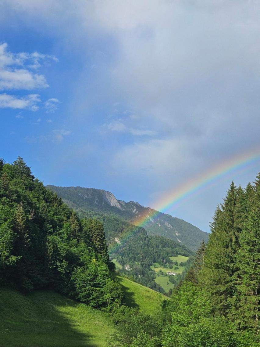 Wohnung Im Nationalpark Kalkalpen 3 Reichraming Екстериор снимка