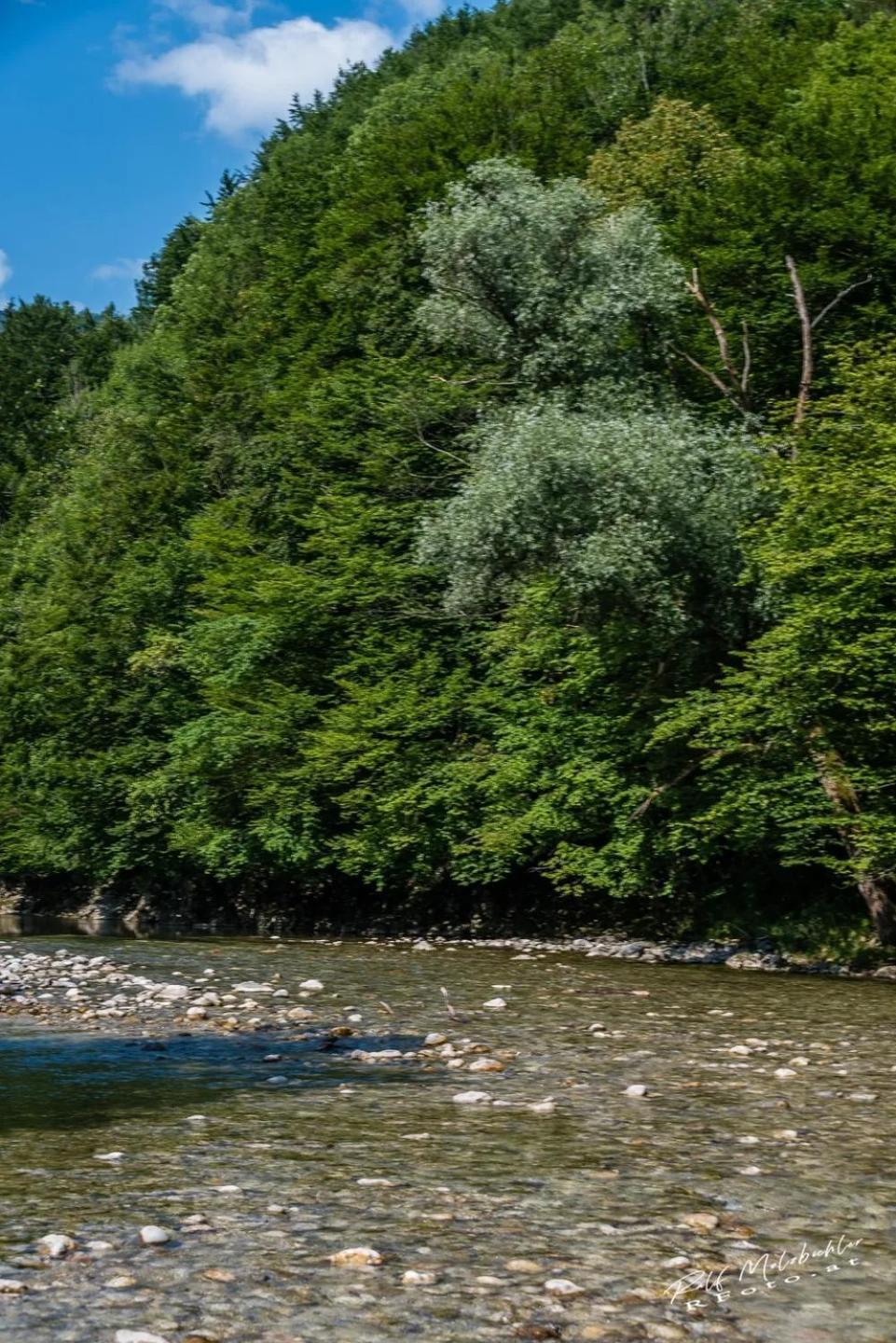 Wohnung Im Nationalpark Kalkalpen 3 Reichraming Екстериор снимка